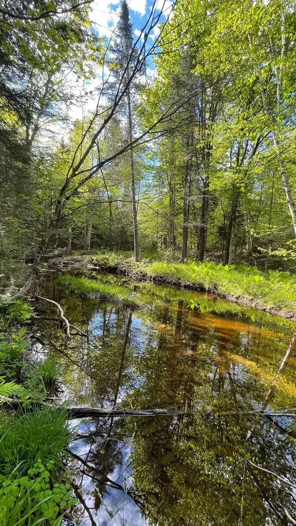339 Long Pond Road Jackman ME 04945