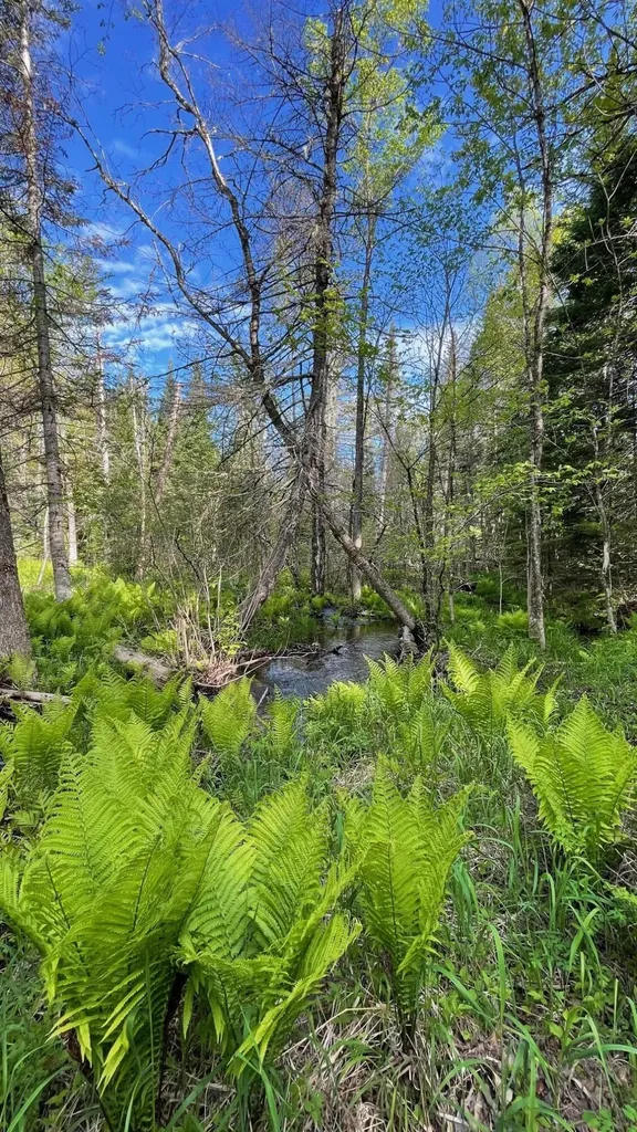 339 Long Pond Road Jackman ME 04945