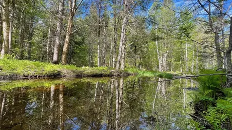 339 Long Pond Road Jackman ME 04945