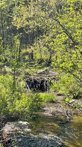 339 Long Pond Road Jackman ME 04945