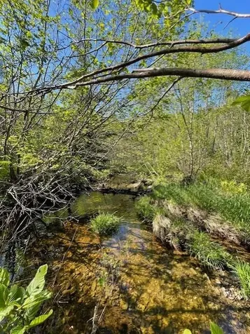 339 Long Pond Road Jackman ME 04945