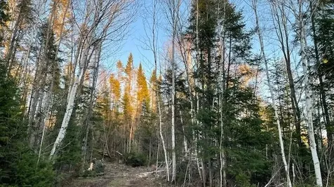 339 Long Pond Road Jackman ME 04945