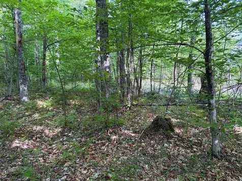 339 Long Pond Road Jackman ME 04945