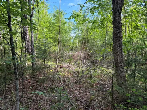 339 Long Pond Road Jackman ME 04945