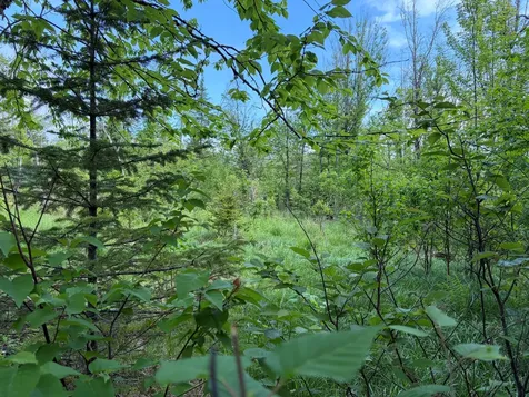 339 Long Pond Road Jackman ME 04945