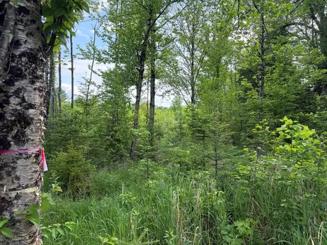339 Long Pond Road Jackman ME 04945