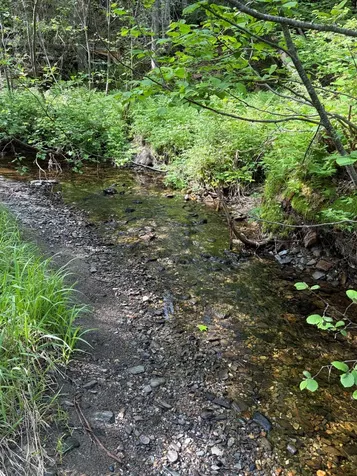 339 Long Pond Road Jackman ME 04945