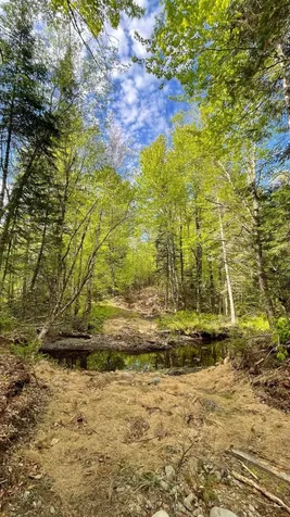 339 Long Pond Road Jackman ME 04945