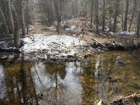 339 Long Pond Road Jackman ME 04945