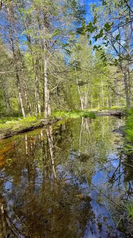 339 Long Pond Road Jackman ME 04945