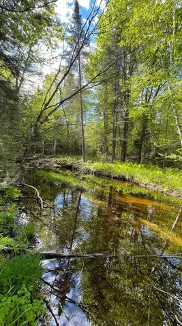 339 Long Pond Road Jackman ME 04945