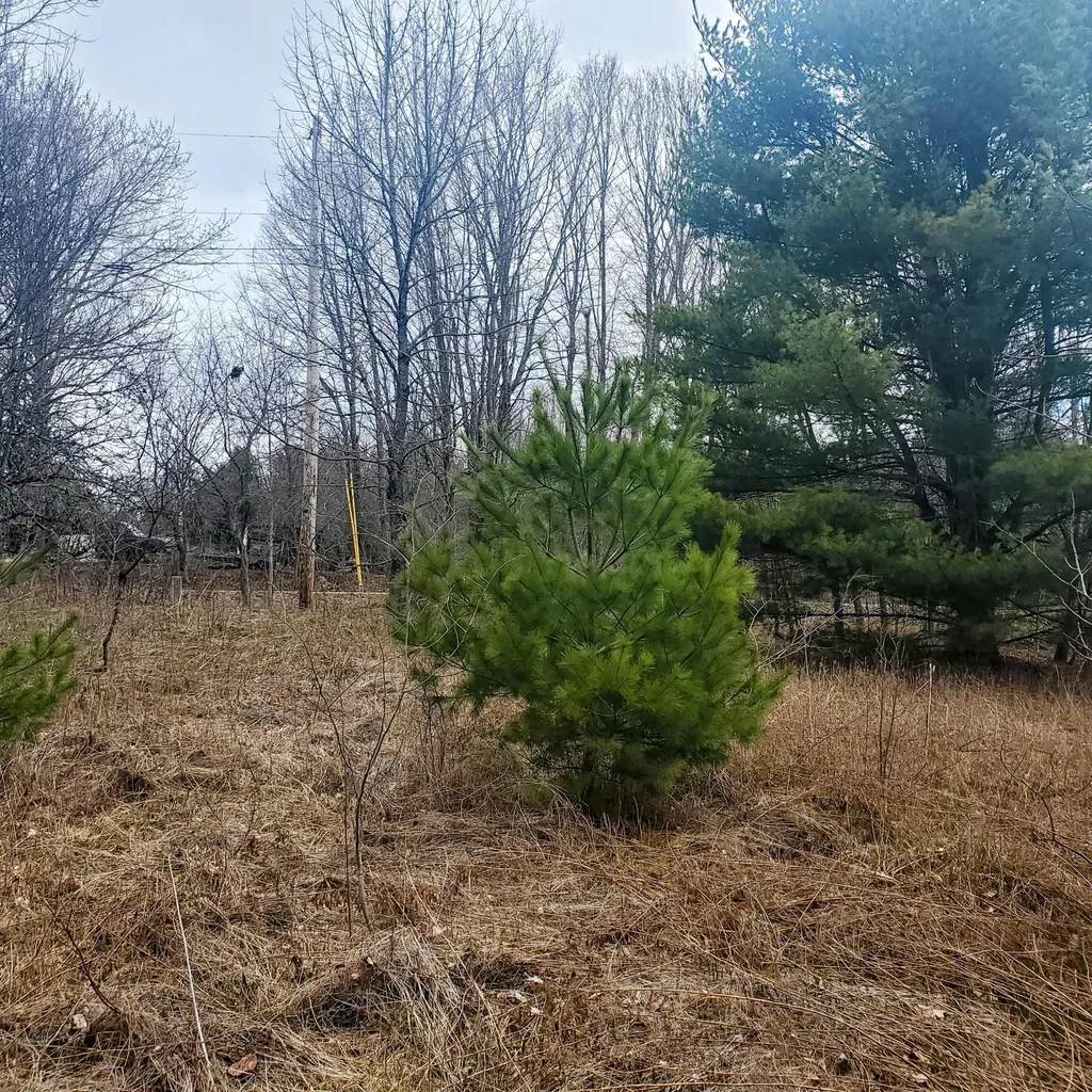 Lot 5 Dexter Road Cambridge ME 04923