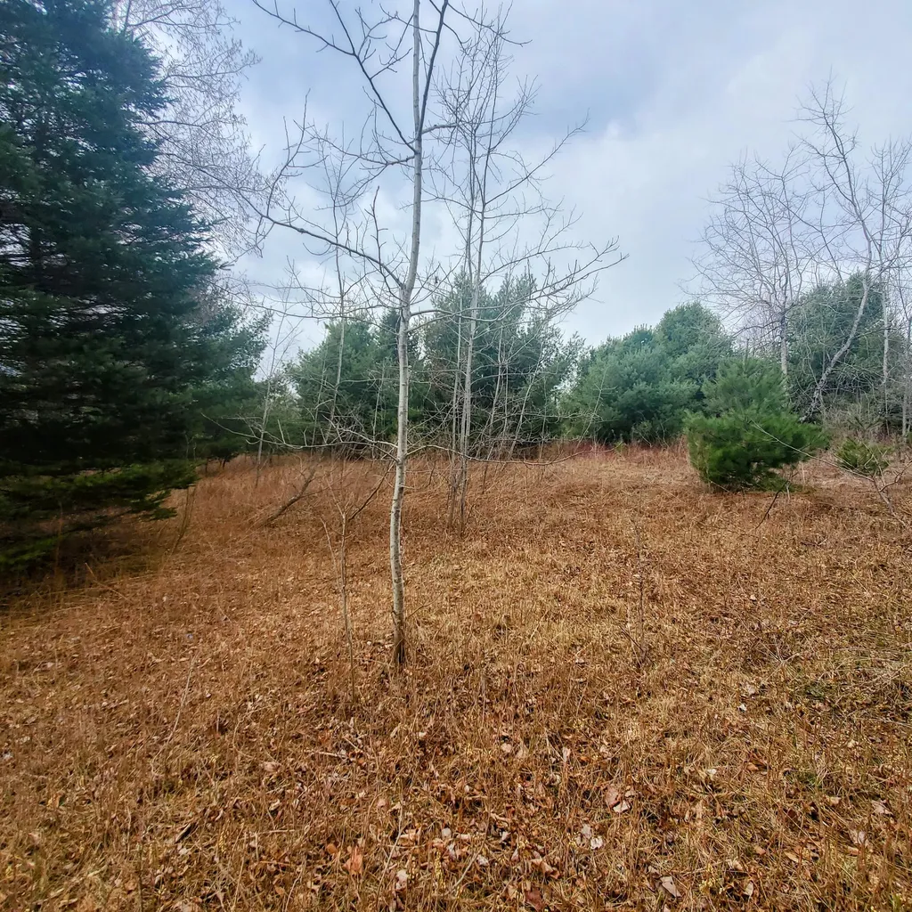 Lot 5 Dexter Road Cambridge ME 04923