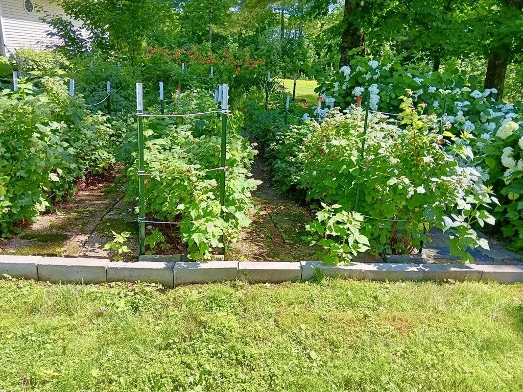 55 Christian Hill Road Charleston ME 04422