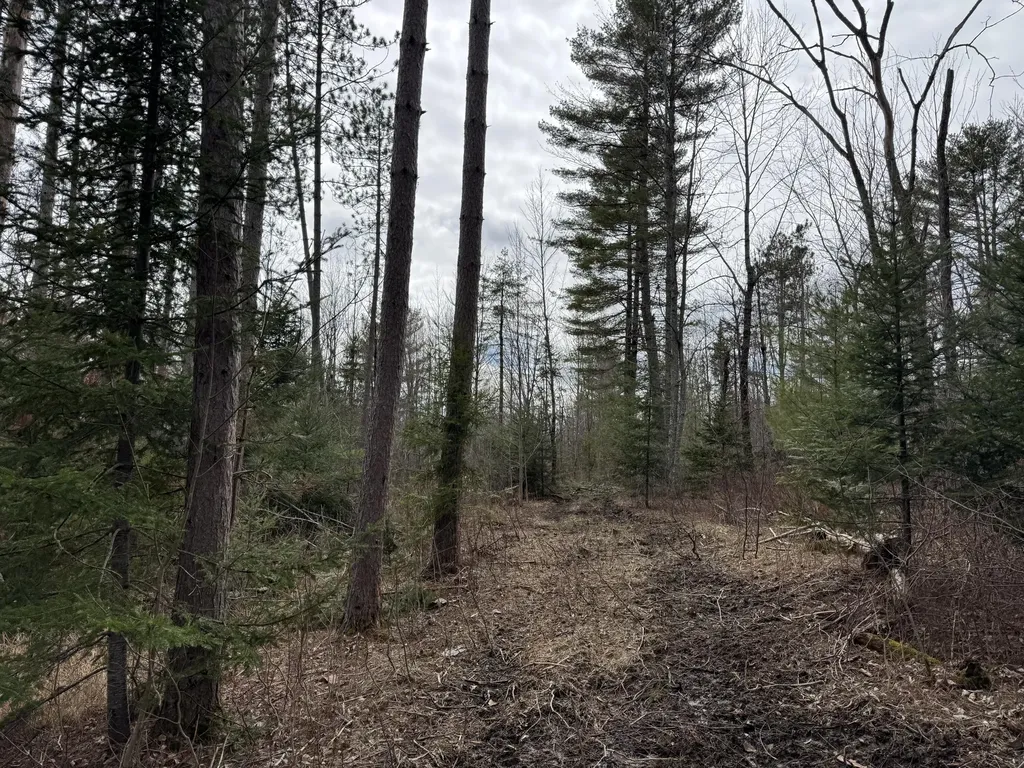 0 Mantor School House Road Parkman ME 04443