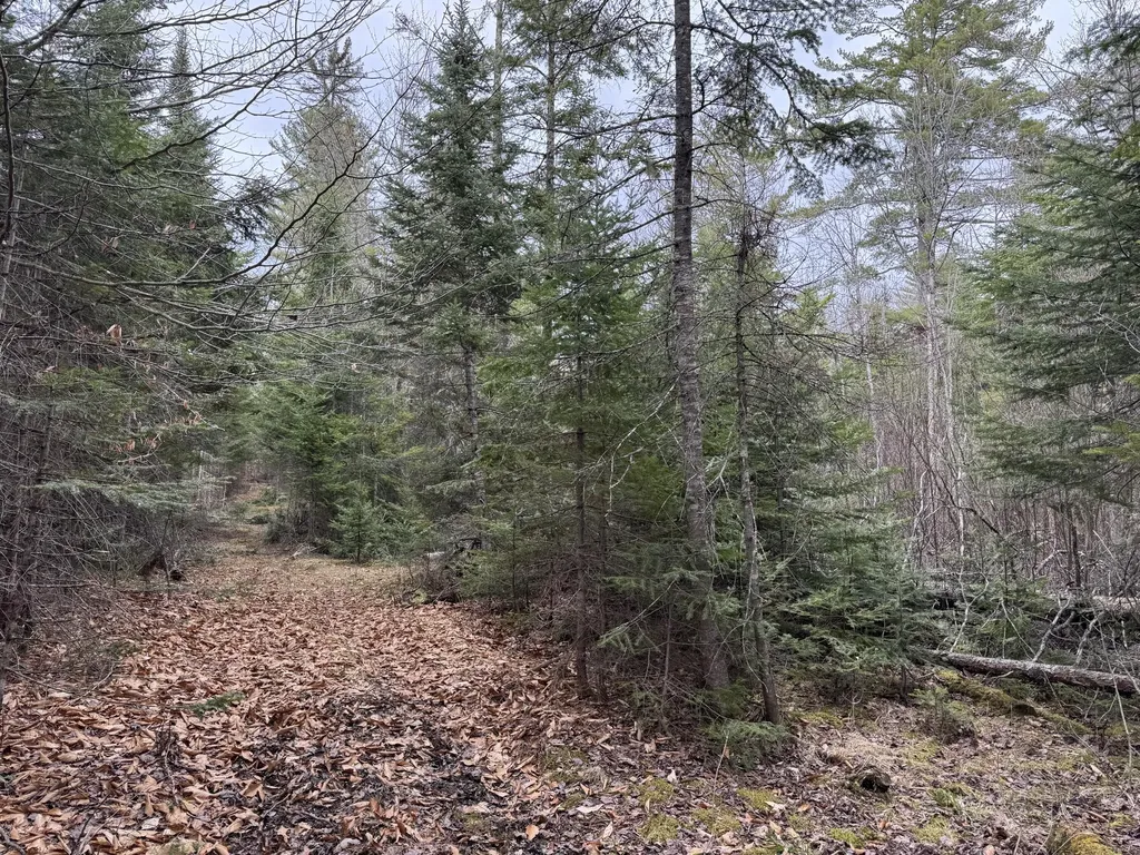 0 Mantor School House Road Parkman ME 04443