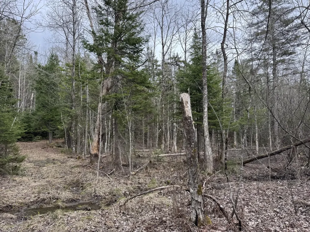 0 Mantor School House Road Parkman ME 04443
