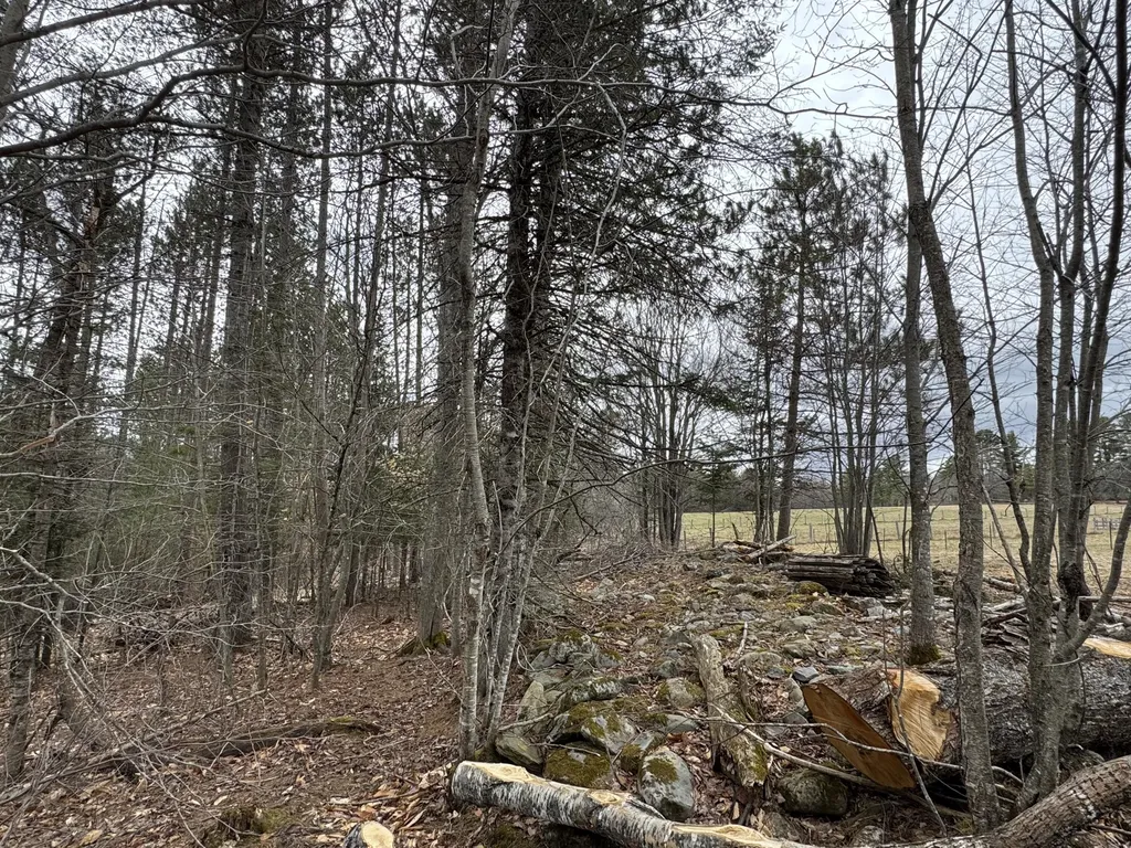 0 Mantor School House Road Parkman ME 04443