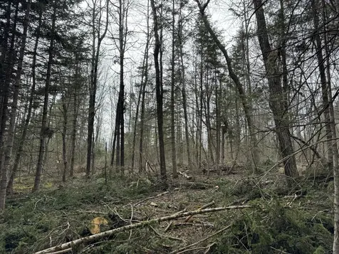 0 Mantor School House Road Parkman ME 04443