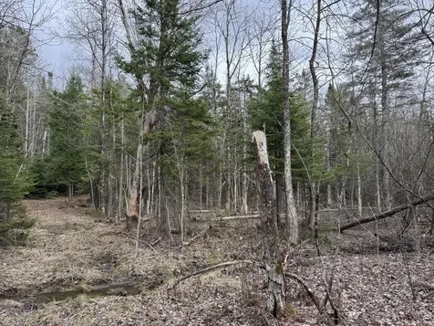 0 Mantor School House Road Parkman ME 04443