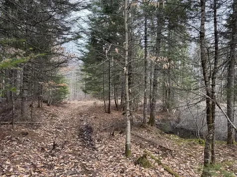 0 Mantor School House Road Parkman ME 04443