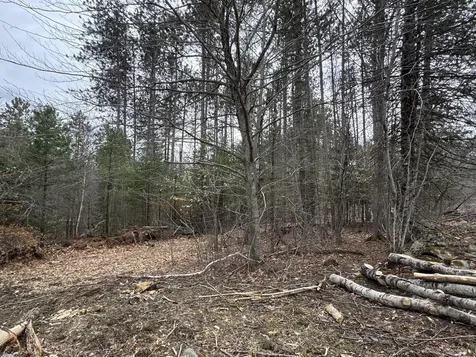 0 Mantor School House Road Parkman ME 04443
