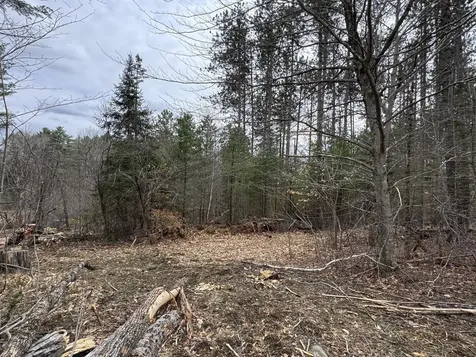 0 Mantor School House Road Parkman ME 04443