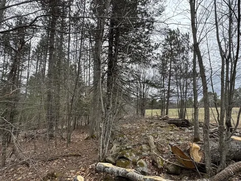 0 Mantor School House Road Parkman ME 04443