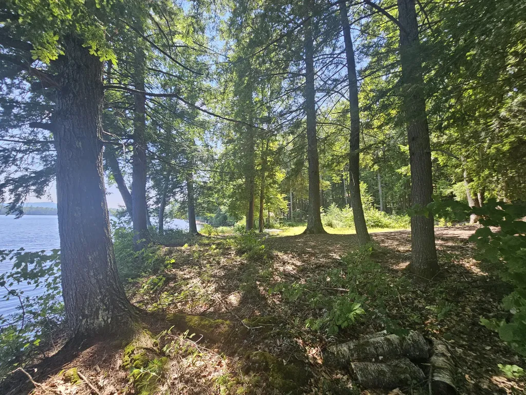 Lot U17-6 Narrow Gauge Trail Hiram ME 04041