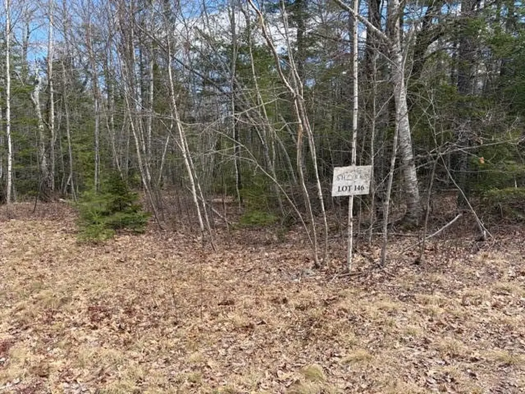 Lot # 146 White Tail Road Waltham ME 04605