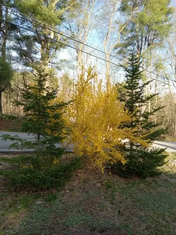 497 Back Road Shapleigh ME 04076