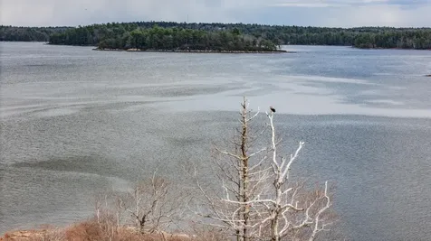 105 Mill Island Road Arrowsic ME 04530