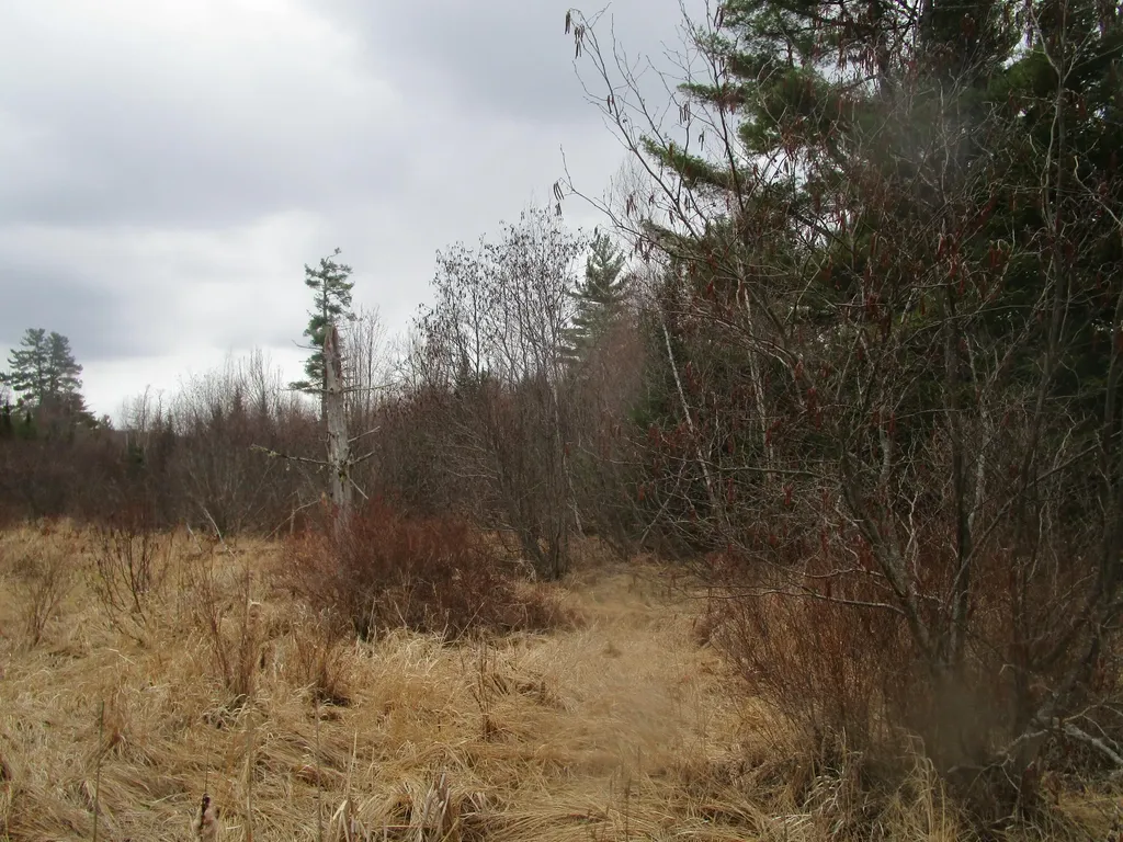 Route 180 Rebel Hill Road Clifton ME 04428