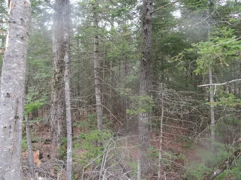 Route 180 Rebel Hill Road Clifton ME 04428