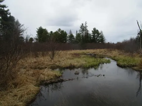 Route 180 Rebel Hill Road Clifton ME 04428