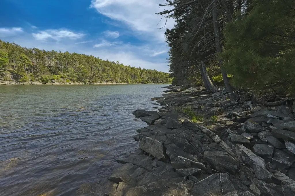 L73M217 S. Kallio Cove Road Saint George ME 04860