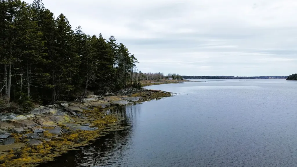 L73M217 S. Kallio Cove Road Saint George ME 04860