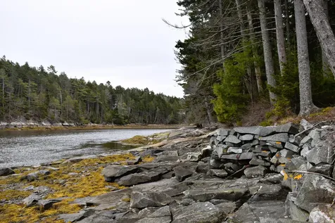 L73M217 S. Kallio Cove Road Saint George ME 04860