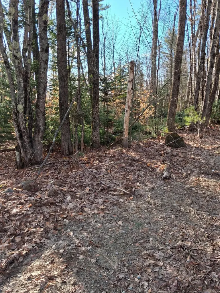 R9 Lot 44 Zions Hill Road Chesterville ME 04938
