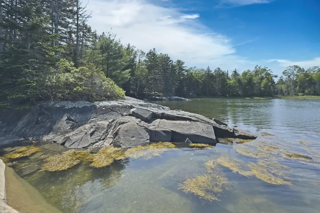 L73M217 N. Kallio Cove Road Saint George ME 04860