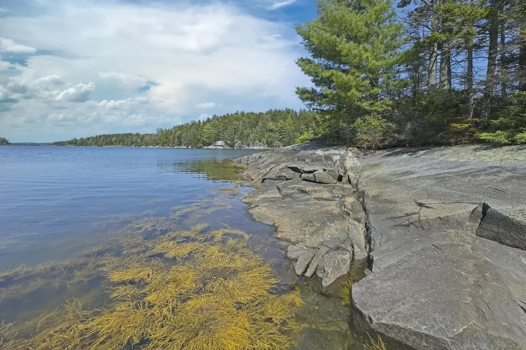 L73M217 N. Kallio Cove Road Saint George ME 04860