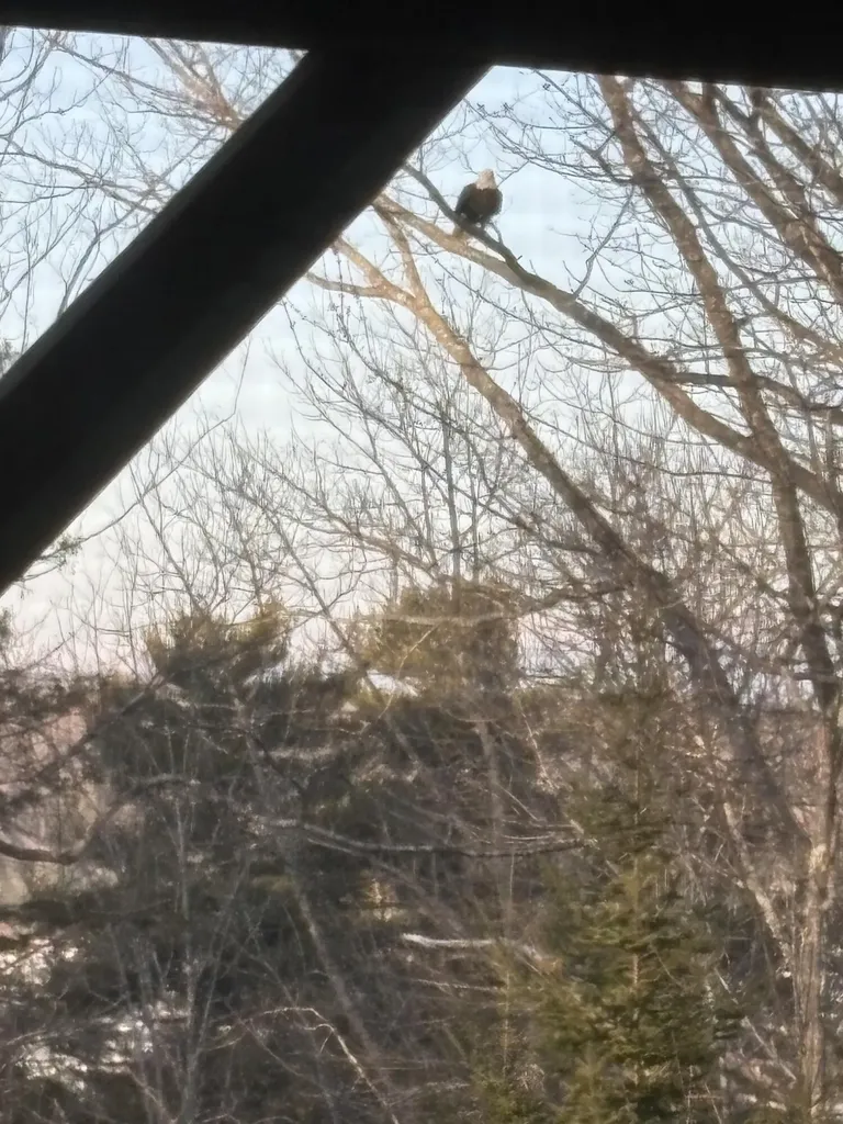 76 Kenney Drive Bucksport ME 04416
