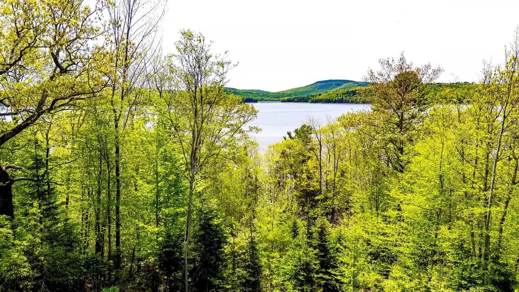 76 Kenney Drive Bucksport ME 04416