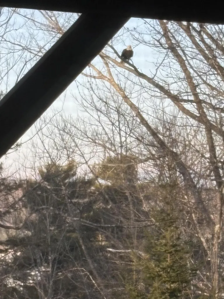 76 Kenney Drive Bucksport ME 04416