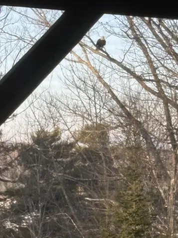 76 Kenney Drive Bucksport ME 04416