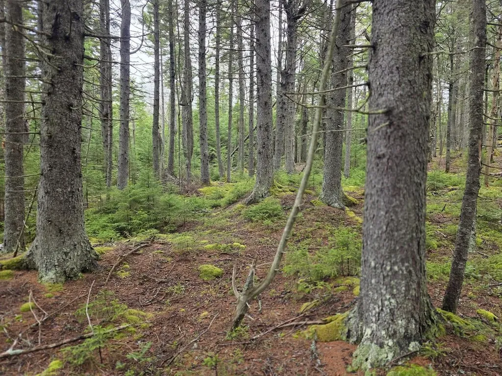 Lot 1 Windward Way Addison ME 04606
