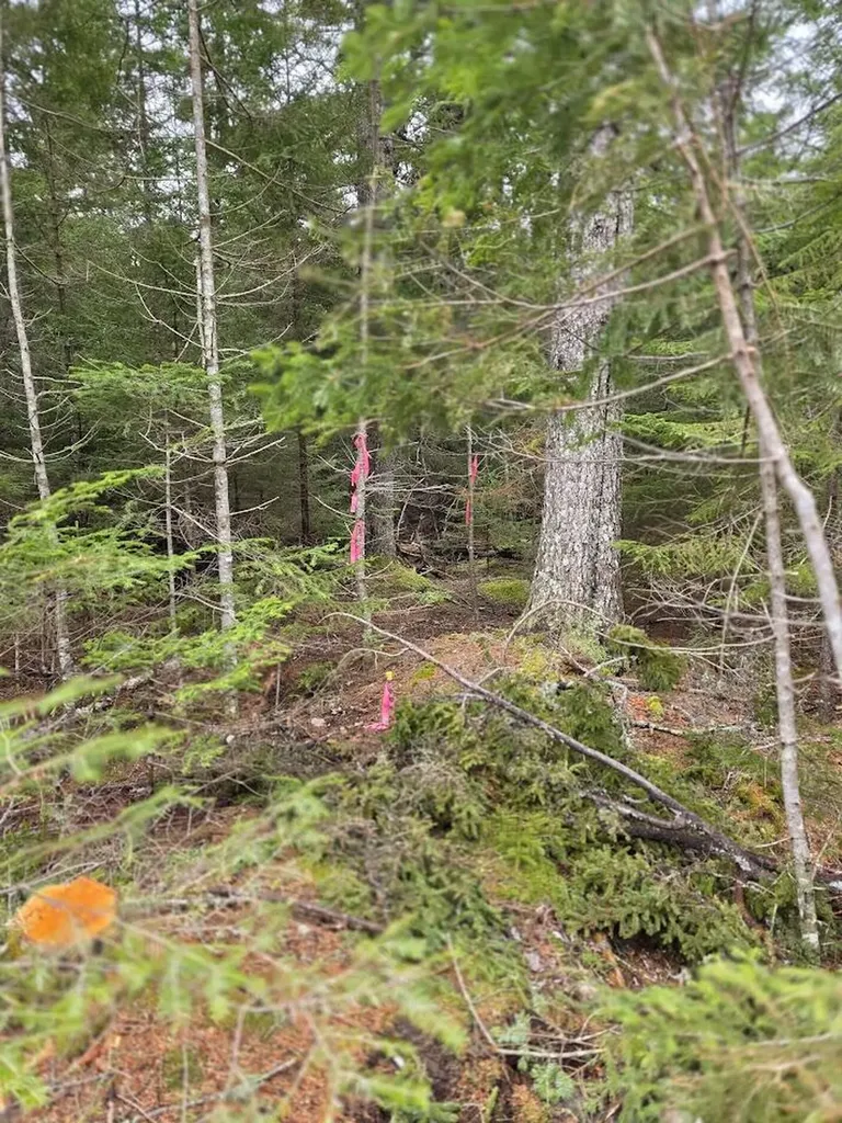 Lot 1 Windward Way Addison ME 04606