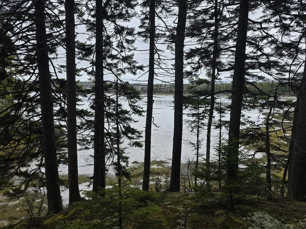 Lot 1 Windward Way Addison ME 04606