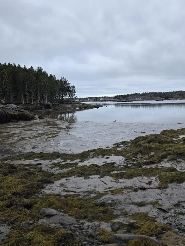 Lot 1 Windward Way Addison ME 04606