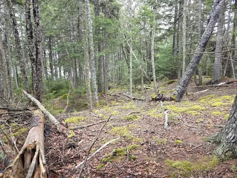 Lot 1 Windward Way Addison ME 04606